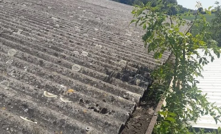 Verweerde golfplaten dak met zichtbare slijtage en asbesthoudende platen.